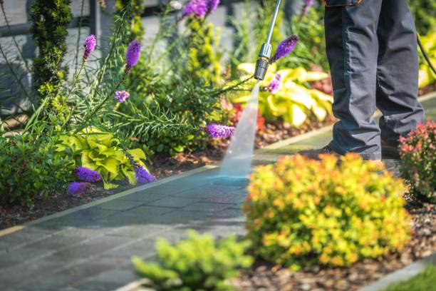 Best Fence Cleaning  in Summerlin South, NV